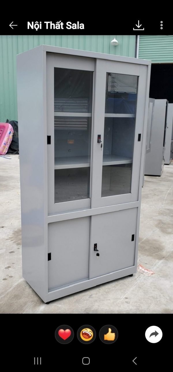 TỦ SẮT 2 CÁNH LÙA KÍNH 2 CÁNH LÙA TÔN - Ảnh 4